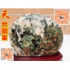 優(yōu)良的廣西奇石網(wǎng)國(guó)畫石東寶觀賞石經(jīng)營(yíng)部?jī)?yōu)惠供應(yīng) 廣西奇石網(wǎng)國(guó)畫石別具一格