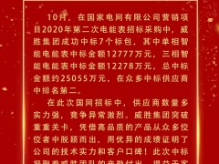 喜報 | 威勝集團(tuán)成功中標(biāo)電網(wǎng)項目超2.5億元！