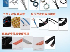 盛邦電線電纜入刊上海世環(huán)會特刊《儀表與測量控制》系列客戶報道44
